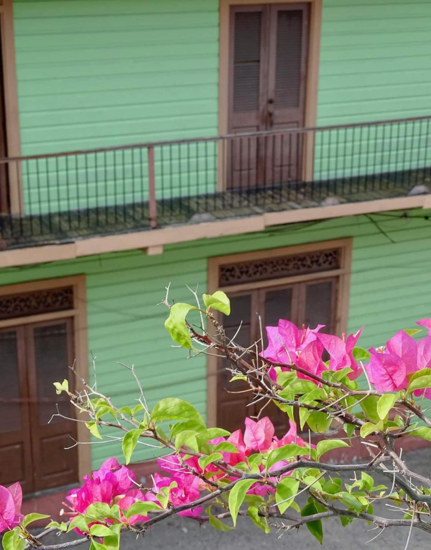 Bocas Style Apartment - Casco Viejo 巴拿马城 外观 照片